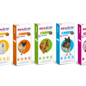 Comprimido anti pulgas y garrapatas trimestral para perro Bravecto