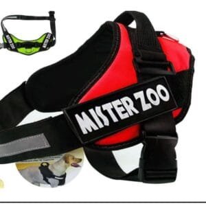 Arnes Pretal Pechera Entrenamiento Para Perro