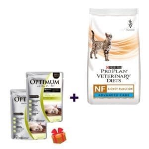 Alimento Pro Plan Veterinary Diets para gato Adulto Renal Etapa Avanzada (NF) 7.5kg