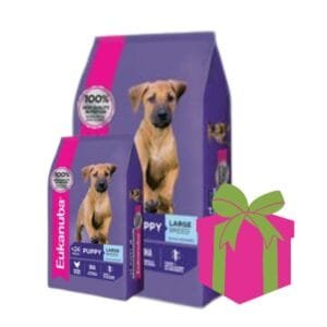 Alimento Eukanuba para perro Cachorro Razas Grandes 15+3kg
