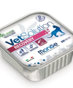 Lata Pate Monge Vet Solution para gato Recovery 100gr