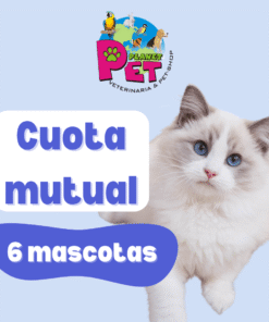 Cuota Mutual 6 Mascotas