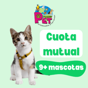 Cuota Mutual 9 o más Mascotas
