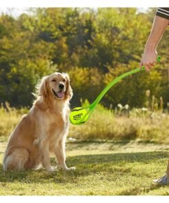 Catapulta para Pelota FOFOS