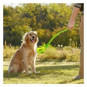 Catapulta para Pelota FOFOS