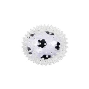 Pelota Transparente Futbol PAWISE