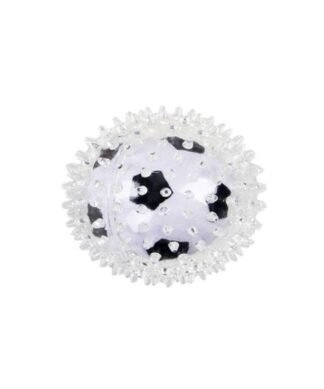 Pelota Transparente Futbol PAWISE