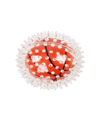 Pelota Transparente Basquetbol PAWISE