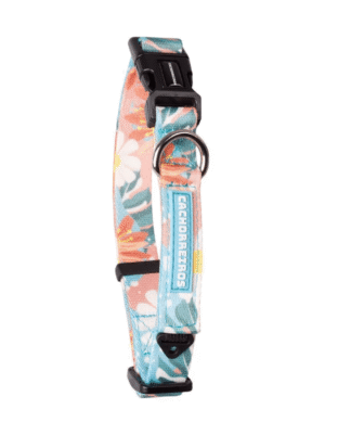 Collar Cachorreiros Floral