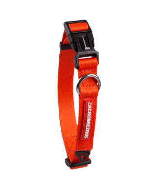 Collar Cachorreiros Red
