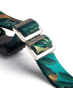 Alternative view of Correa Running Cachorreiros Samauma Talle L