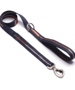 Correa Cachorreiros Bob Y Marley Talle S