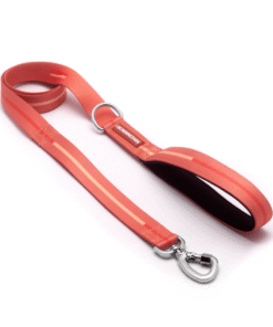 Correa Cachorreiros Coral Talle S