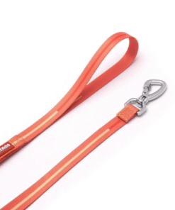 Alternative view of Correa Cachorreiros Coral Talle S