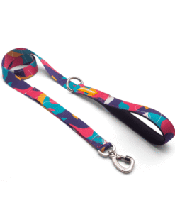 Correa Cachorreiros Doge