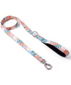 Correa Cachorreiros Floral