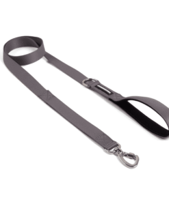 Correa Cachorreiros Grafite