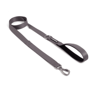 Correa Cachorreiros Grafite