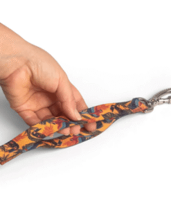 Alternative view of Correa Cachorreiros Guyra