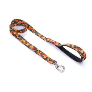 Correa Cachorreiros Guyra