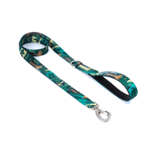 Correa Cachorreiros Samauma