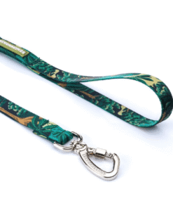 Alternative view of Correa Cachorreiros Samauma