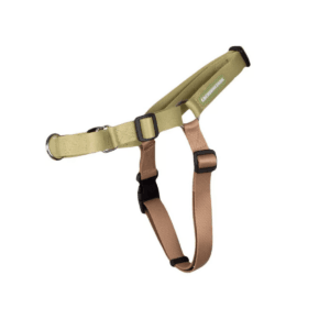 Arnes Antitirones Cachorreiros Pistache Talle M