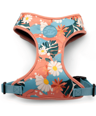 Arnes FLOW Cachorreiros Floral