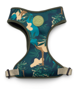 Arnes FLOW Cachorreiros Samauma