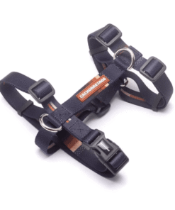 Arnes H Cachorreiros Bob Y Marley