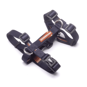 Arnes H Cachorreiros Bob Y Marley