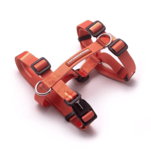 Arnes H Cachorreiros Coral