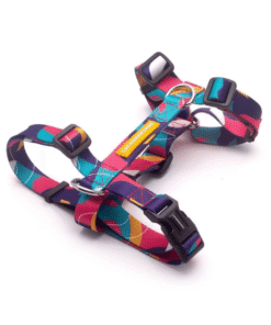 Arnes H Cachorreiros Doge