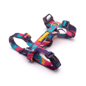 Arnes H Cachorreiros Doge