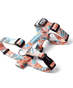 Arnes H Cachorreiros Floral