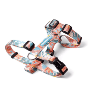 Arnes H Cachorreiros Floral