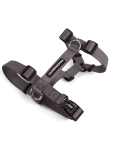 Arnes H Cachorreiros Grafite