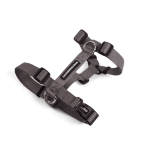 Arnes H Cachorreiros Grafite