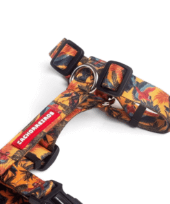 Alternative view of Arnes H Cachorreiros Guyra