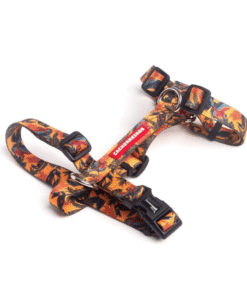 Arnes H Cachorreiros Guyra