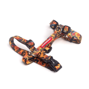 Arnes H Cachorreiros Guyra