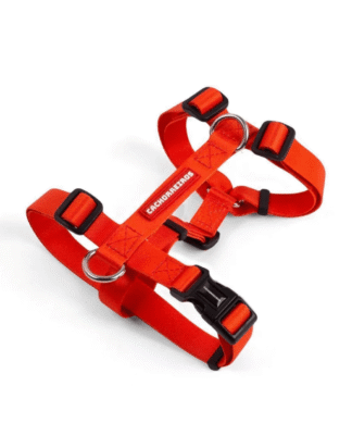 Arnes H Cachorreiros Red