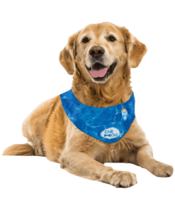 Alternative view of Bandana Refrescante XL All For Paws