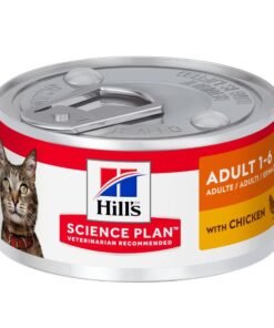 Pate Hills Gato Adulto Sabor Salmon 156g