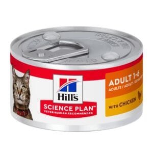 Pate Hills Gato Adulto Sabor Salmon 156g