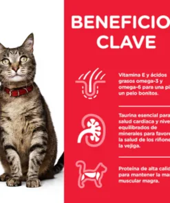 Alternative view of Pate Hills Gato Adulto Sabor Salmon 156g