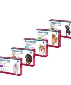 Comprimido Antiparasitario, Antipulgas y Garrapatas Simparica TRIO