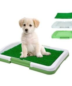 Bandeja de Entrenamiento PAWISE para Cachorros