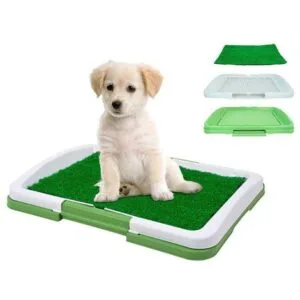 Bandeja de Entrenamiento PAWISE para Cachorros