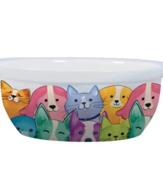 Plato de Cerámica PETJOY FeedMeWow Multicolor 300ml